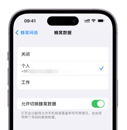 潍城苹果维修服务分享如何在iPhone上使用双卡 